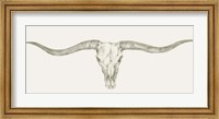 Framed Western Skull Mount III