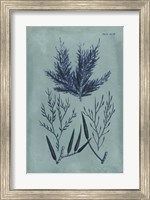 Framed Indigo & Azure Seaweed I
