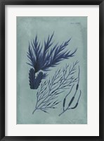 Framed Indigo & Azure Seaweed II