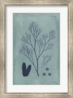 Framed Indigo & Azure Seaweed V