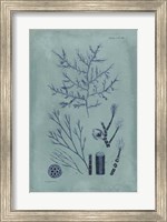 Framed Indigo & Azure Seaweed VIII