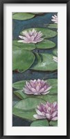 Tranquil Lilies I Framed Print