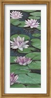 Framed Tranquil Lilies II