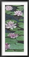 Tranquil Lilies II Framed Print