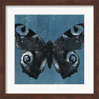 Framed Chambray Butterflies I