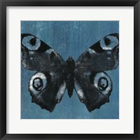 Chambray Butterflies I Framed Print