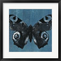 Framed Chambray Butterflies I