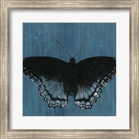 Framed Chambray Butterflies II