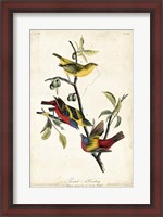 Framed Painted Bunting