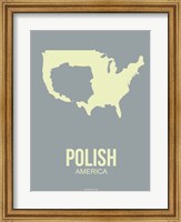 Framed Polish America 1