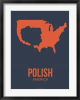 Framed Polish America 2