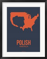 Framed Polish America 2