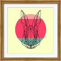 Framed Rabbit and Sunset