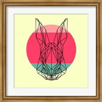 Framed Rabbit and Sunset