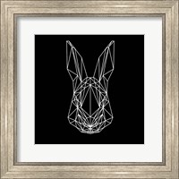 Framed Rabbit on Black