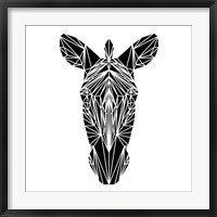 Framed Black Zebra