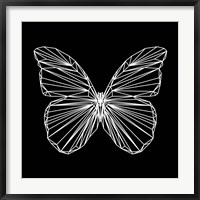 Framed Butterfly Polygon