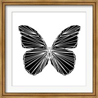 Framed Black Butterfly