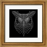 Framed Black Owl Mesh