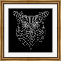 Framed Black Owl Mesh
