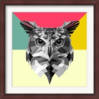 Framed Owl Head