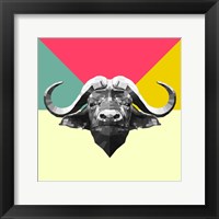 Framed Party Buffalo