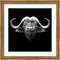 Framed Black Buffalo