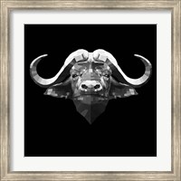 Framed Black Buffalo