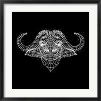Framed Black Buffalo Mesh
