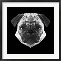 Framed Pug Head