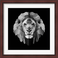 Framed Lion Head