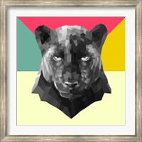 Framed Party Panther