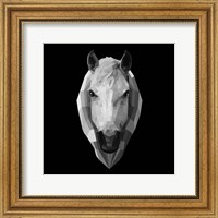 Framed Horse Head