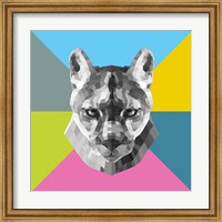 Framed Party Mountain Lion