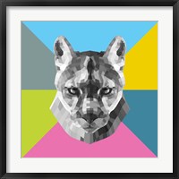 Framed Party Mountain Lion