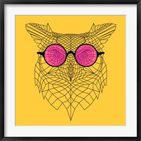 Framed Owl in Pink Glasses