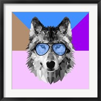 Framed Woolf in Blue Glasses