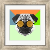Framed Party Pug in Yellow Glasses