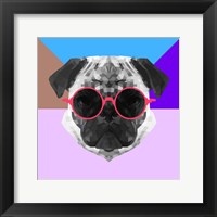 Framed Party Pug in Pink Glasses