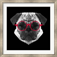Framed Pug in Red Glasses