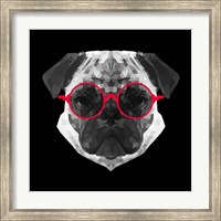 Framed Pug in Red Glasses
