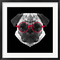 Framed Pug in Red Glasses