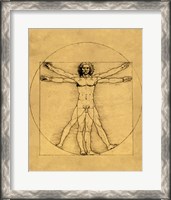 Framed Proportions of the Human Figure - Vitruvian Man