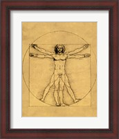 Framed Proportions of the Human Figure - Vitruvian Man