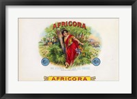 Framed Africora