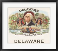 Framed Delaware