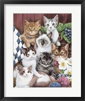 Framed Cuddly Kittens