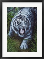 Framed White Tiger
