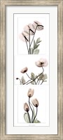 Framed Flowering Triptych