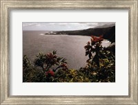 Framed Honomanu Bay